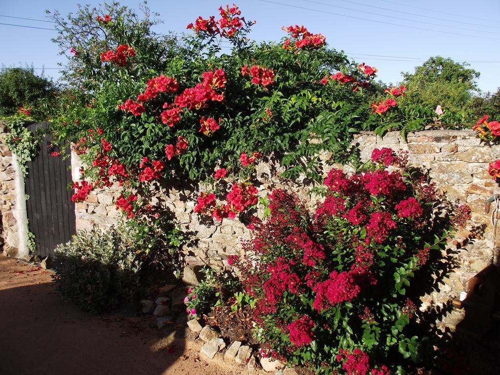 Les Belles Epoques B&B - Piscine - Terrasses - Brumisateurs - Proche Puy Du Fou Saint-Germain-sur-Moine Εξωτερικό φωτογραφία